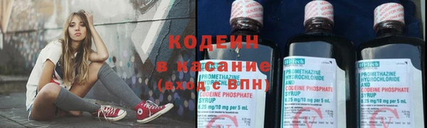 крисы Горнозаводск